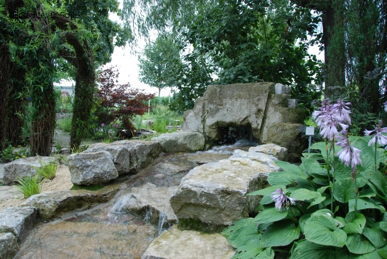 DSC_5504.JPG