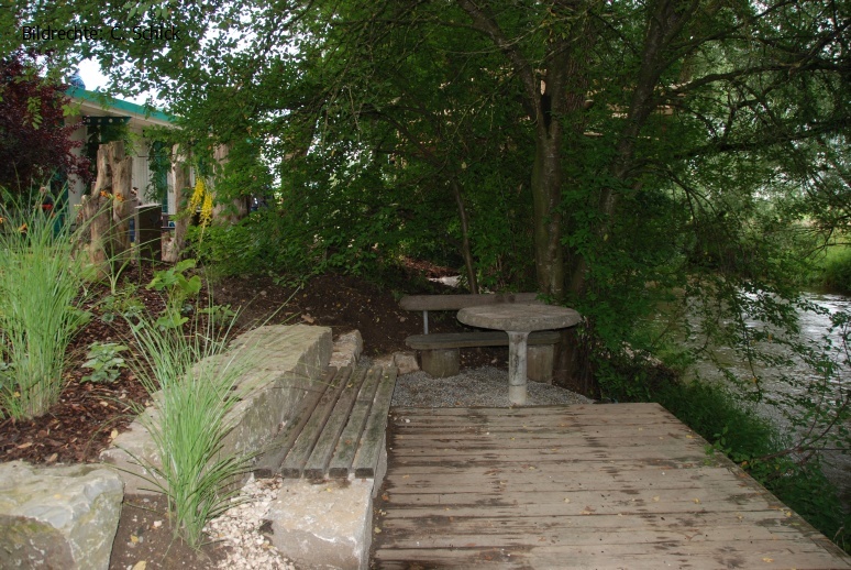 DSC_5507.JPG