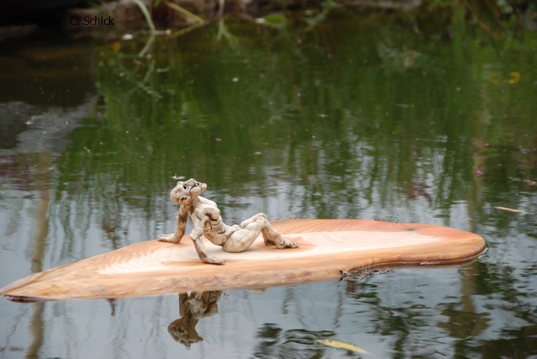 DSC_5515.JPG