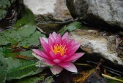 DSC_5521.JPG