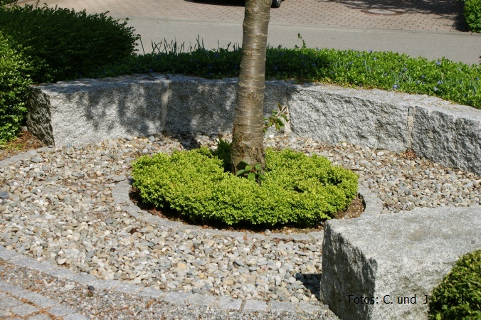 Juliane_mai_09 (145).JPG