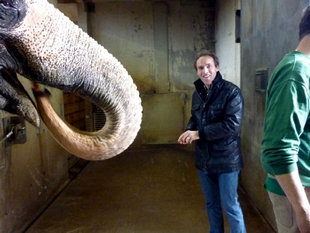 Peter Schick fttert gern die Elefanten. Die Dickhuter imponieren ihm: Sie sind sehr klug und sehr sensibel.